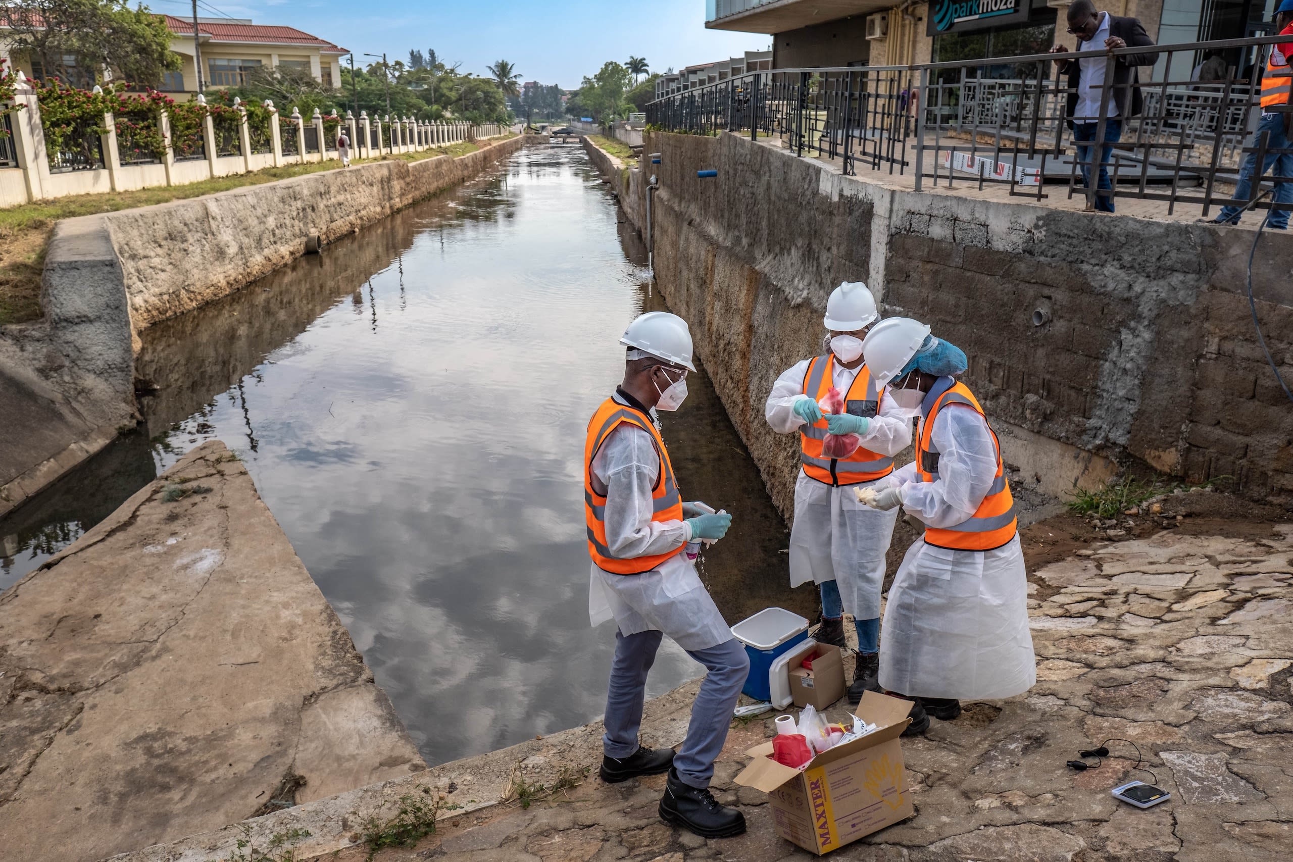 Mozambique case study