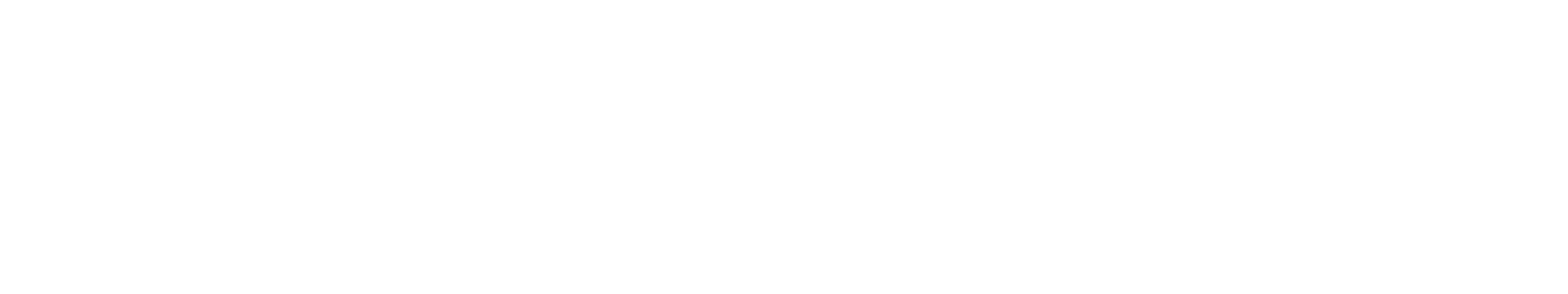 The Global Fund